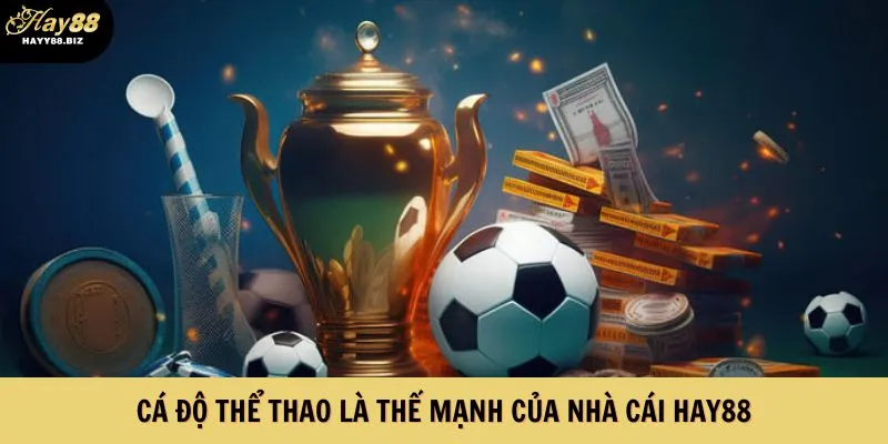 Cá độ thể thao là thế mạnh của nhà cái Hay88