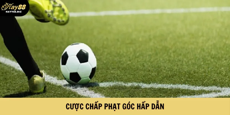Cược chấp phạt góc hấp dẫn