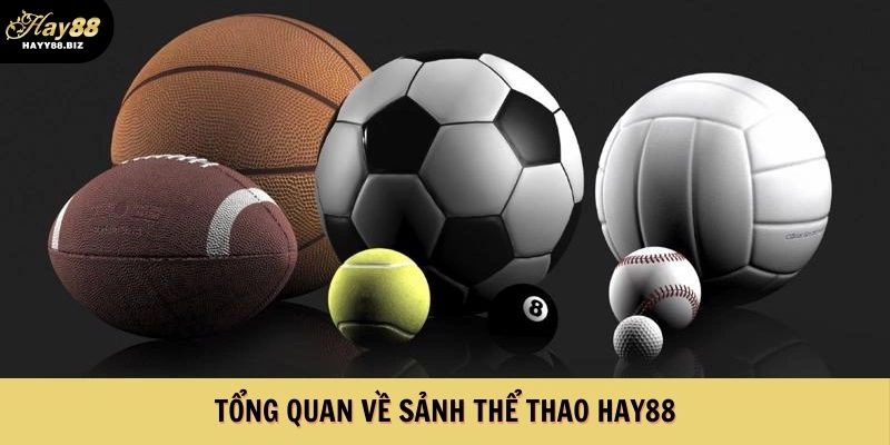 Tổng quan chung về sảnh thể thao HAY88