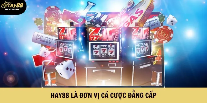 Hay88 là đơn vị cá cược đẳng cấp