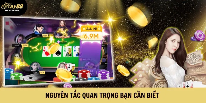 Những quy định quan trọng bạn cần tuân thủ