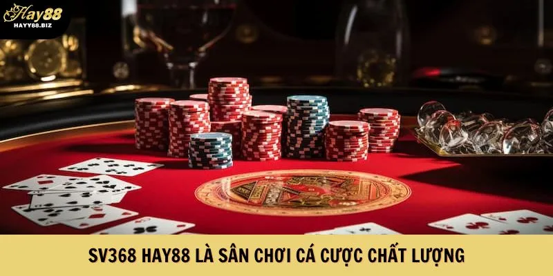 SV368 Hay88 là sân chơi cá cược chất lượng