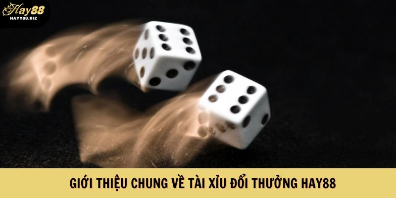 Giới thiệu chung về game Tài xỉu đổi thưởng HAY88