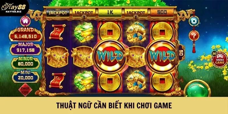 Thuật ngữ slots game chuyên dụng