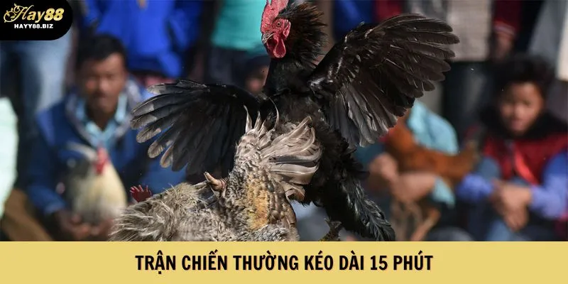 Trận chiến thường kéo dài 15 phút